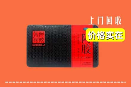 五华区回收阿胶