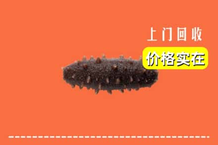 五华区回收海参