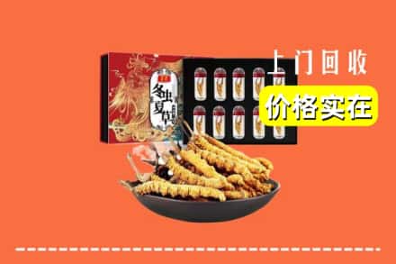 五华区回收虫草